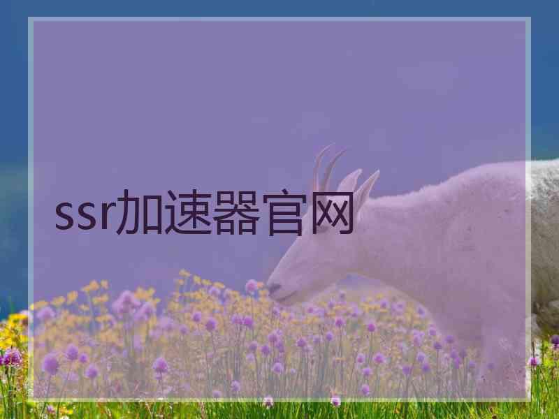 ssr加速器官网