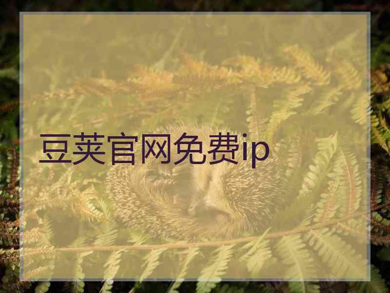 豆荚官网免费ip