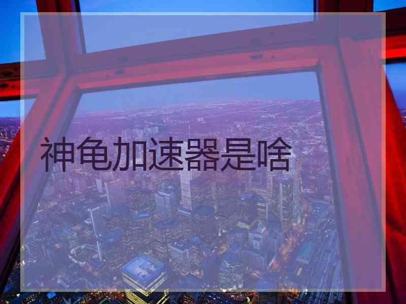 神龟加速器是啥