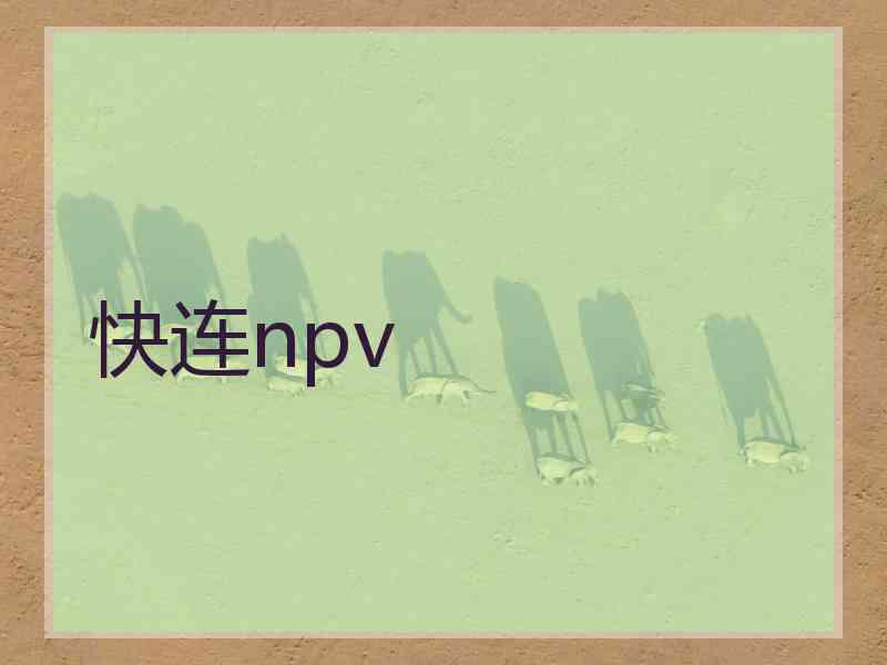 快连npv