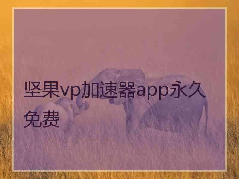 坚果vp加速器app永久免费