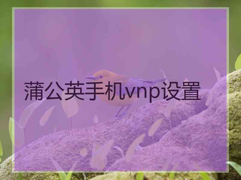 蒲公英手机vnp设置