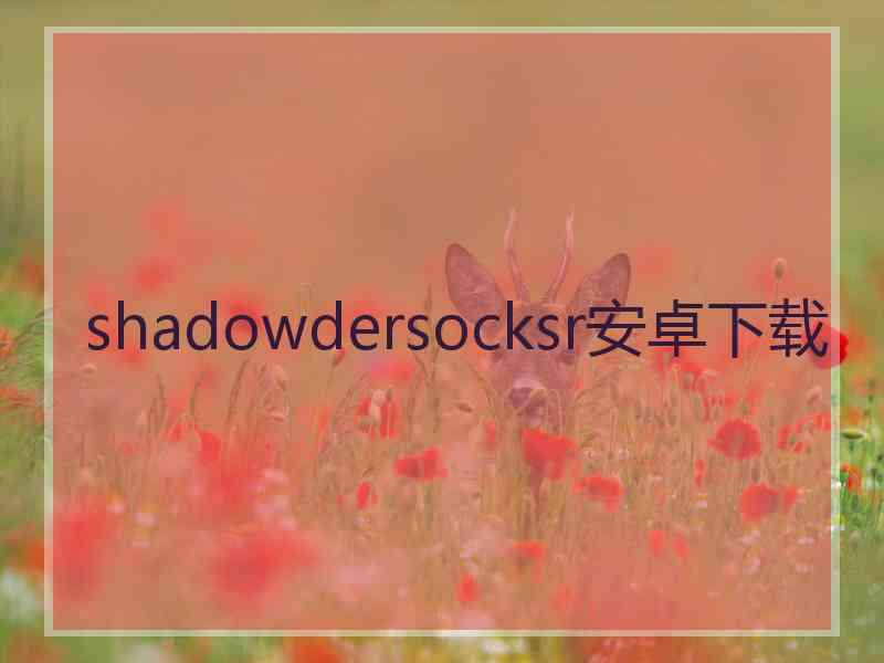 shadowdersocksr安卓下载