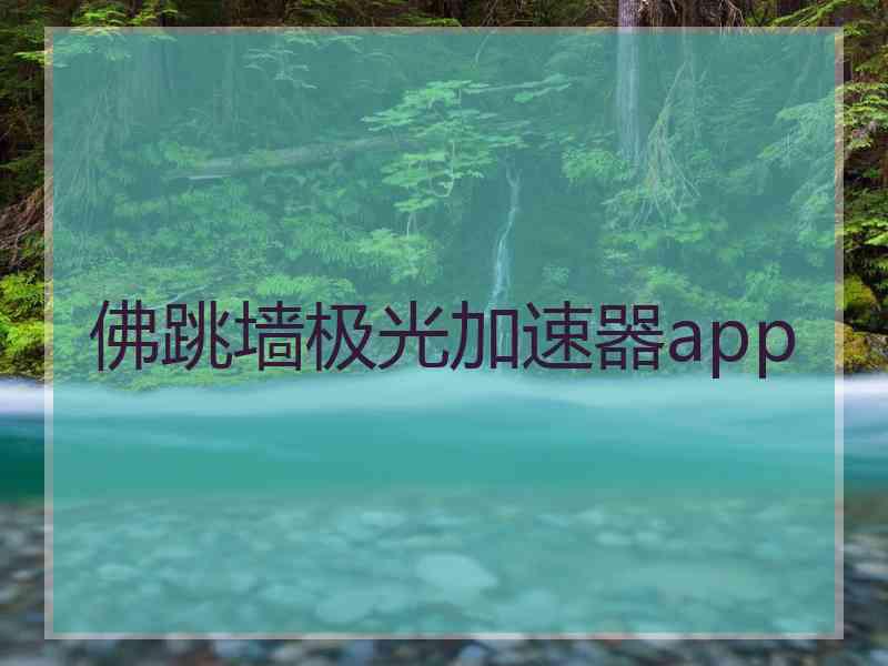 佛跳墙极光加速器app