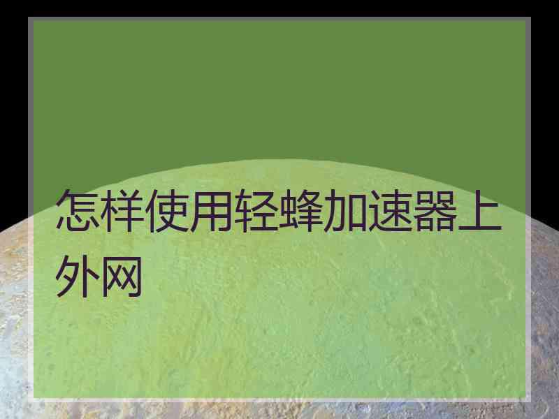 怎样使用轻蜂加速器上外网