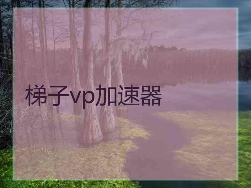 梯子vp加速器