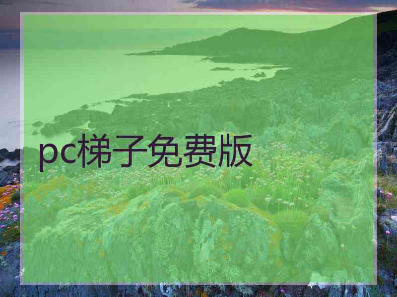 pc梯子免费版