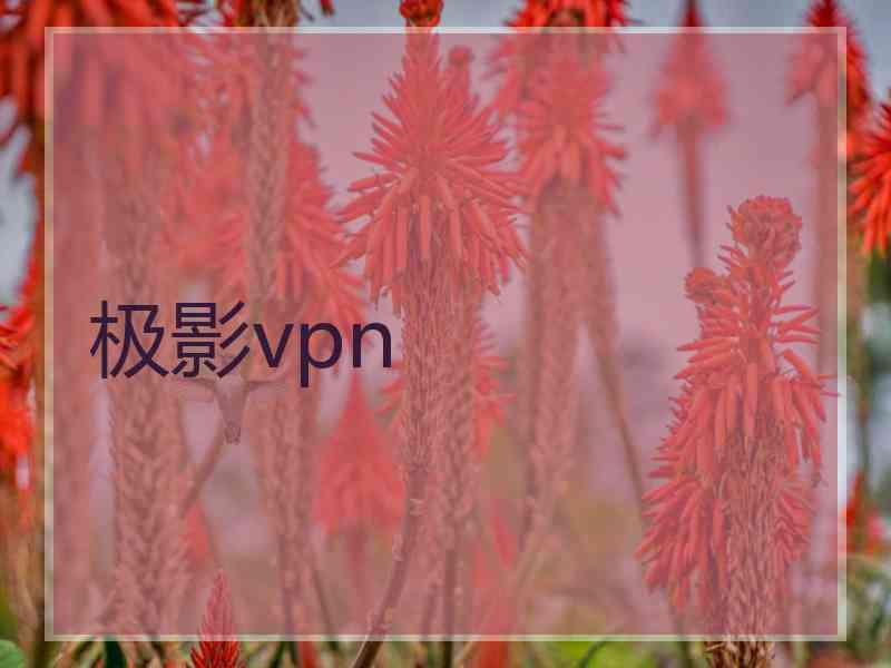 极影vpn