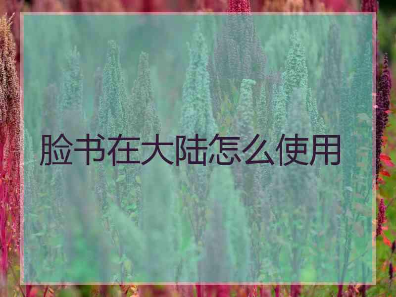 脸书在大陆怎么使用