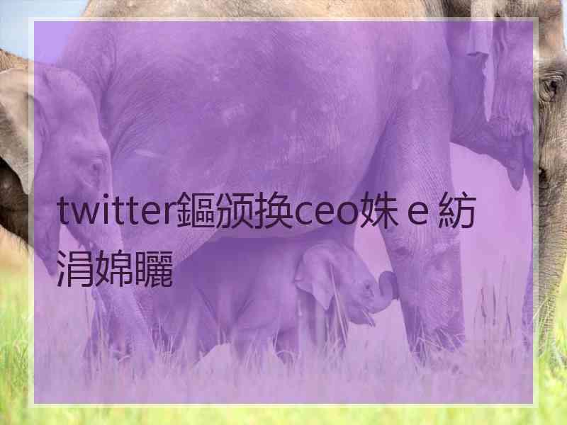 twitter鏂颁换ceo姝ｅ紡涓婂矖