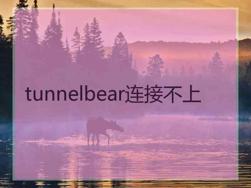 tunnelbear连接不上