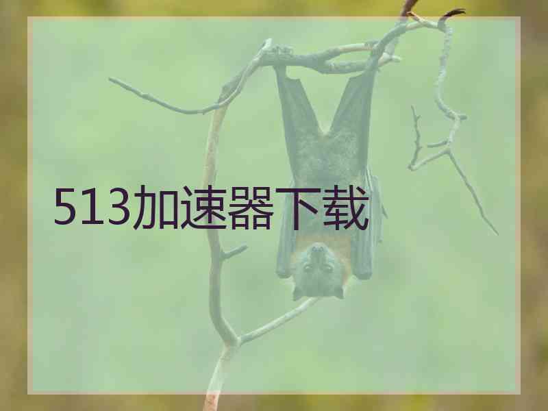 513加速器下载