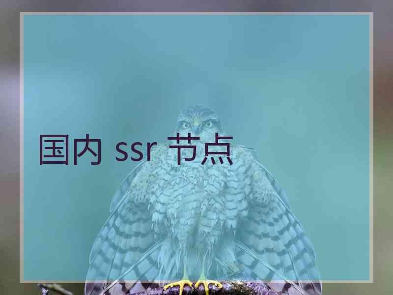 国内 ssr 节点