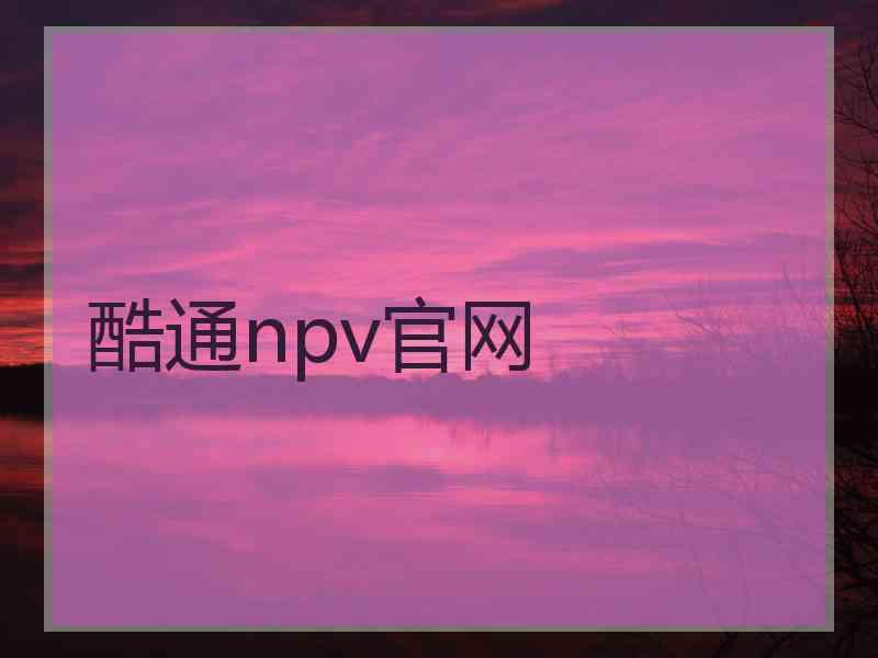 酷通npv官网