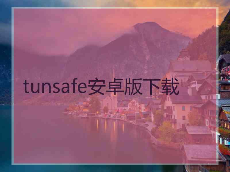 tunsafe安卓版下载