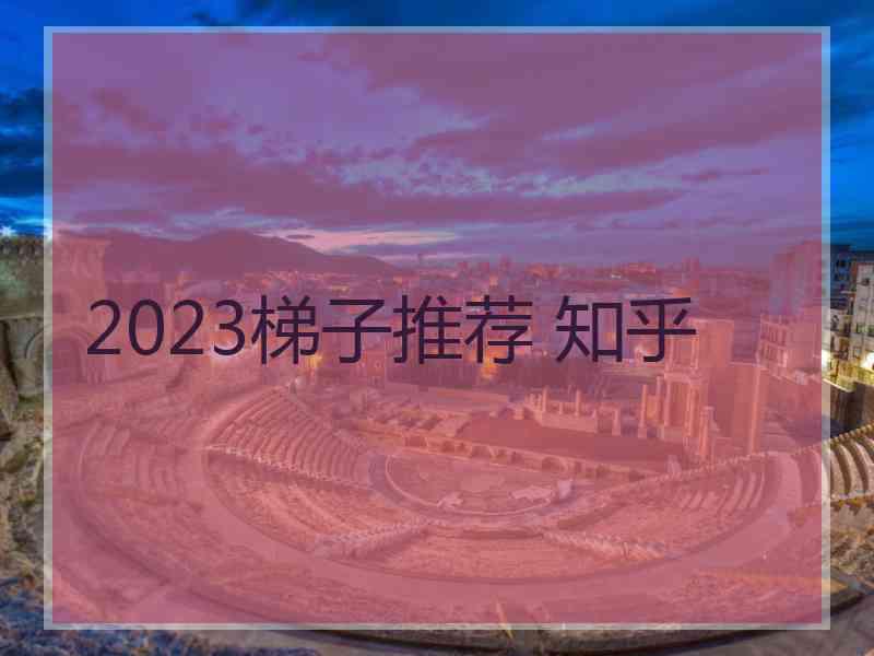 2023梯子推荐 知乎