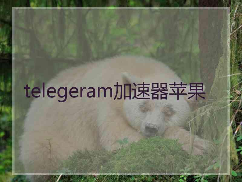 telegeram加速器苹果