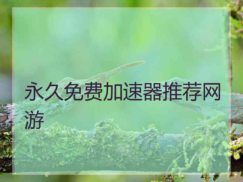 永久免费加速器推荐网游