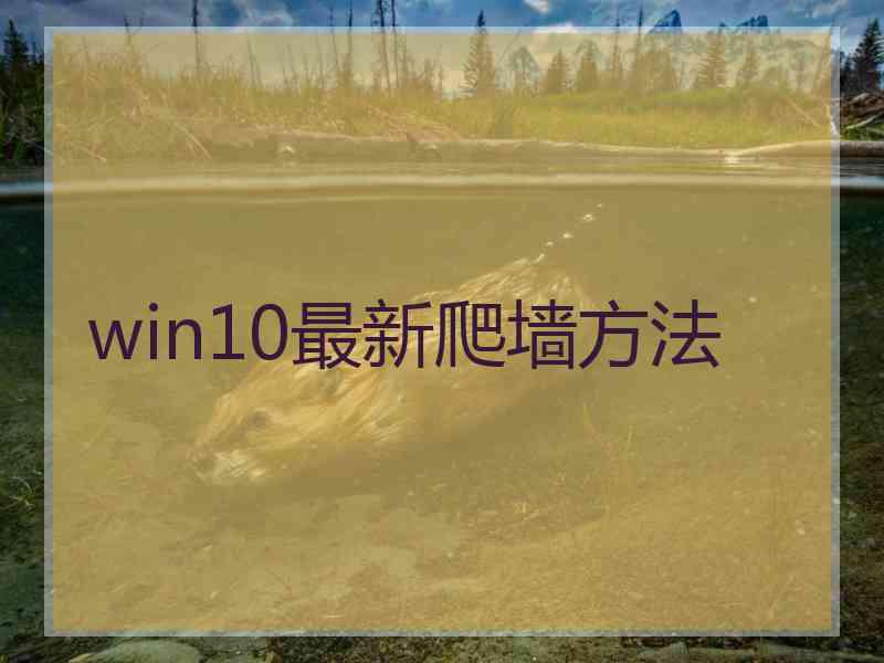 win10最新爬墙方法