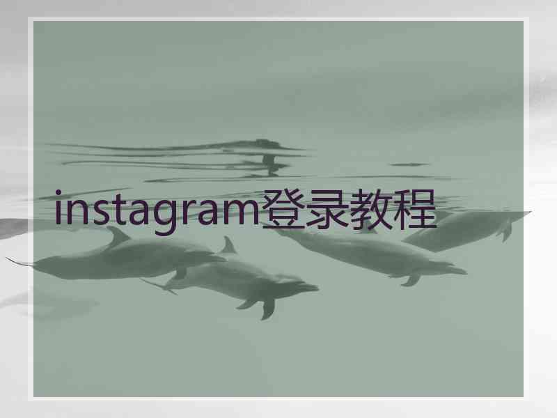 instagram登录教程