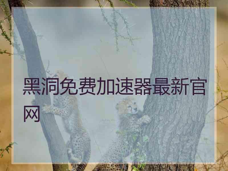 黑洞免费加速器最新官网