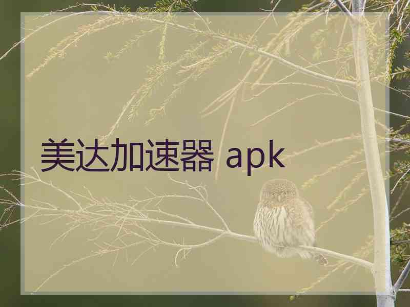 美达加速器 apk