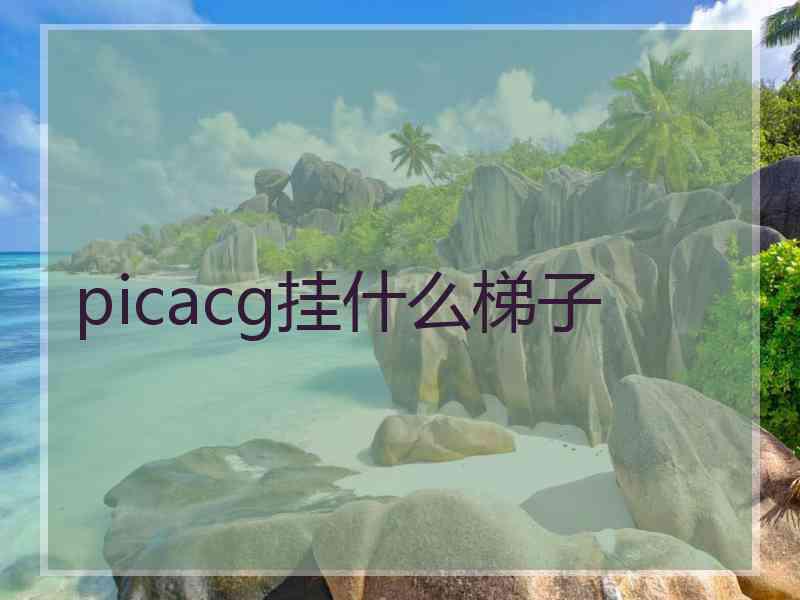 picacg挂什么梯子