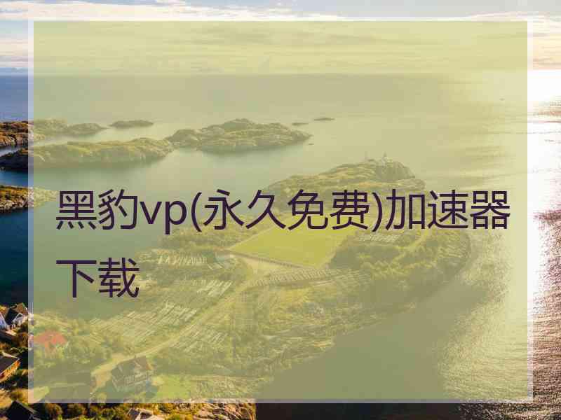 黑豹vp(永久免费)加速器下载