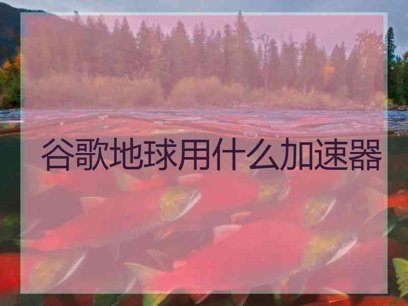 谷歌地球用什么加速器