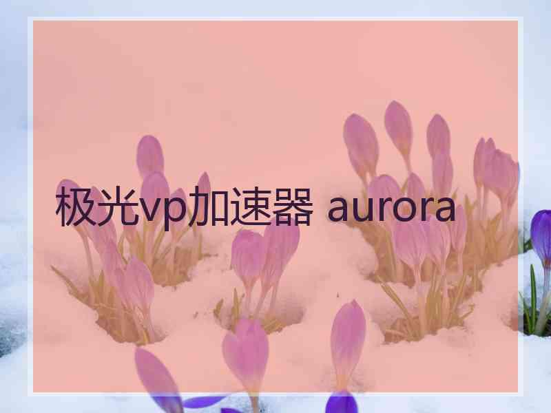 极光vp加速器 aurora