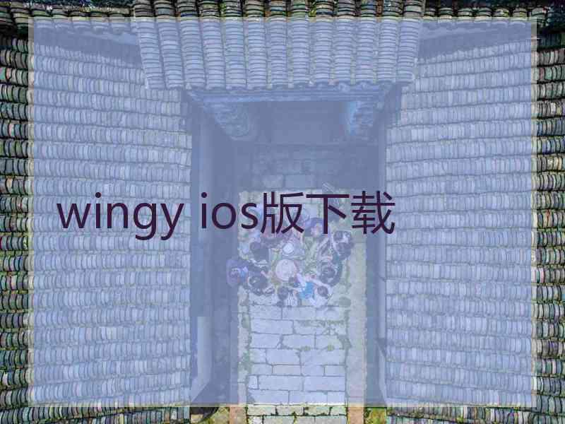 wingy ios版下载