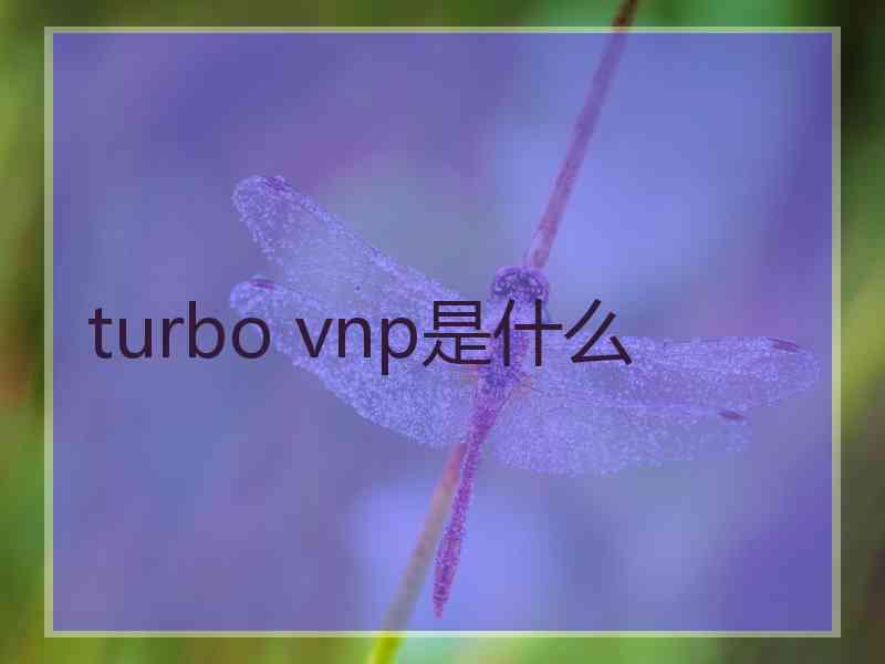 turbo vnp是什么