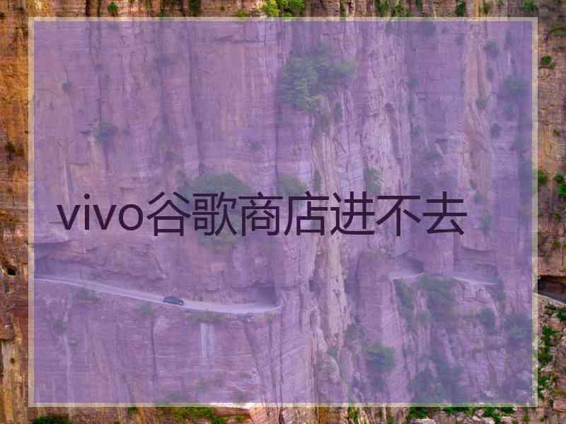 vivo谷歌商店进不去