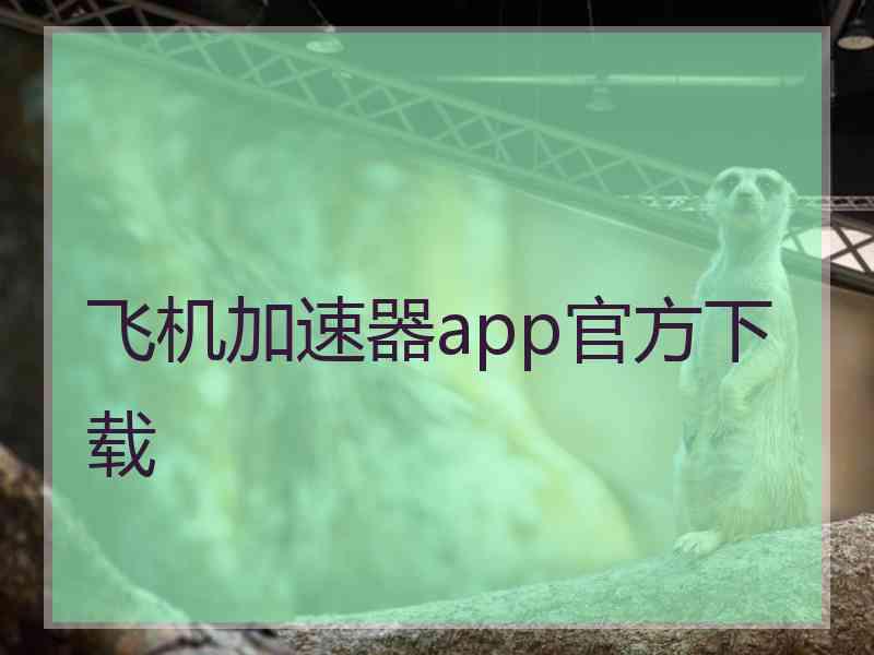 飞机加速器app官方下载