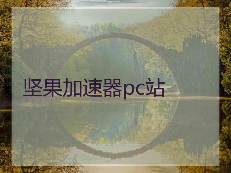 坚果加速器pc站