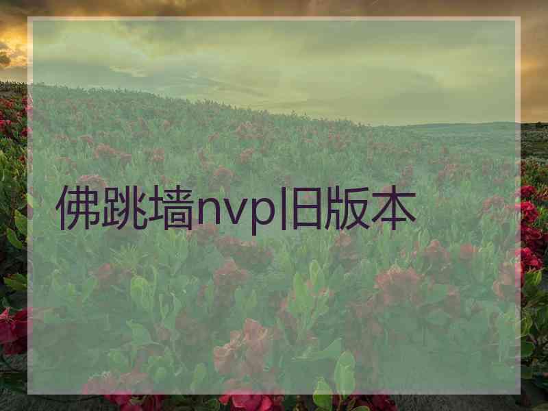 佛跳墙nvp旧版本