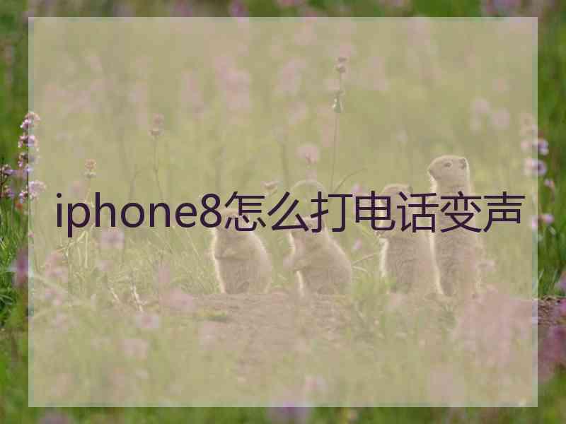 iphone8怎么打电话变声