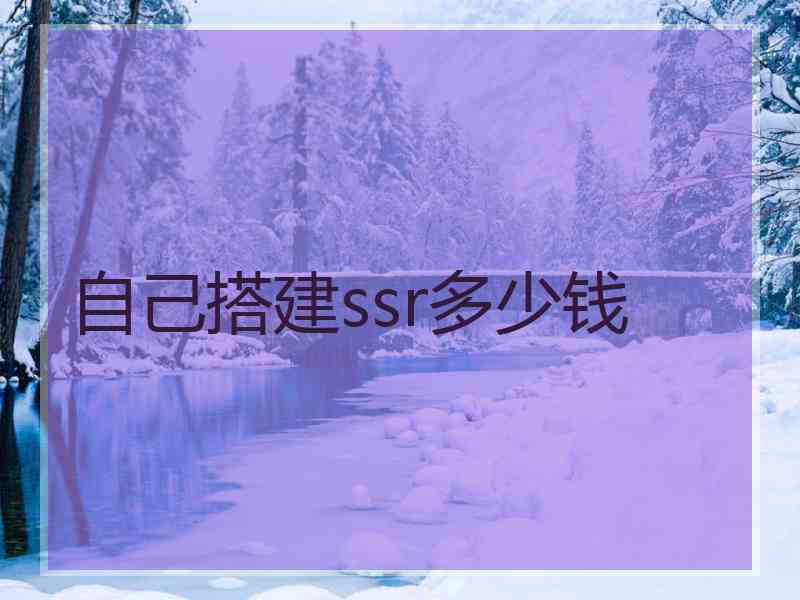 自己搭建ssr多少钱