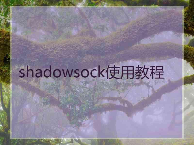 shadowsock使用教程