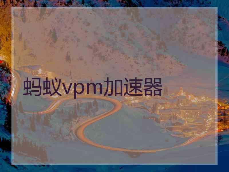 蚂蚁vpm加速器