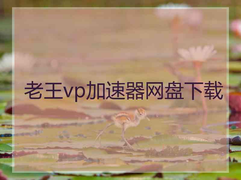 老王vp加速器网盘下载