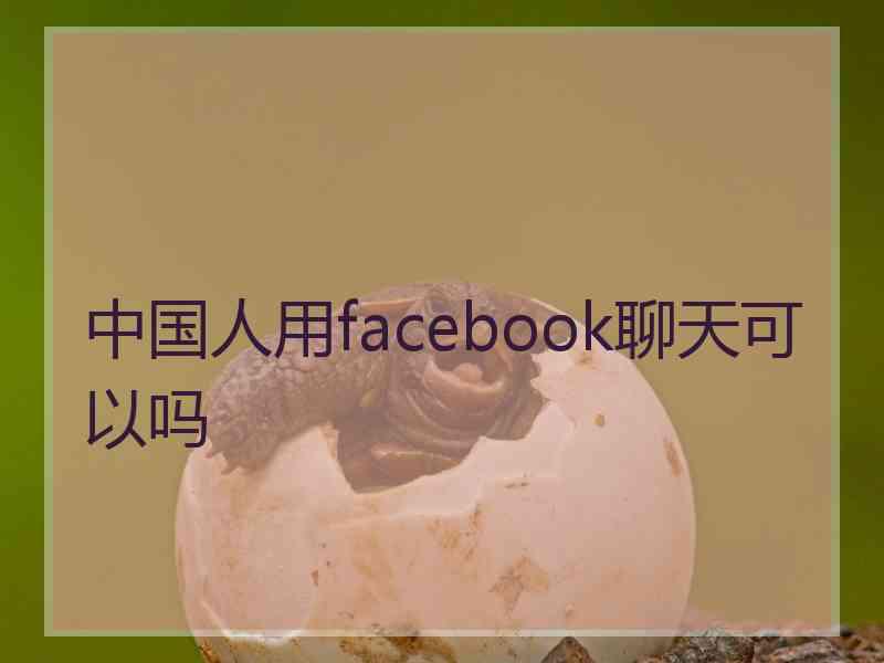 中国人用facebook聊天可以吗