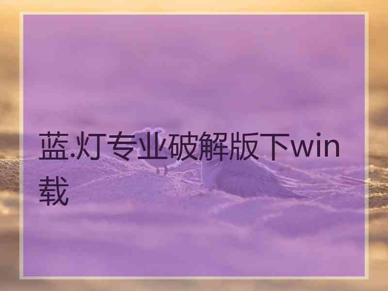 蓝.灯专业破解版下win载