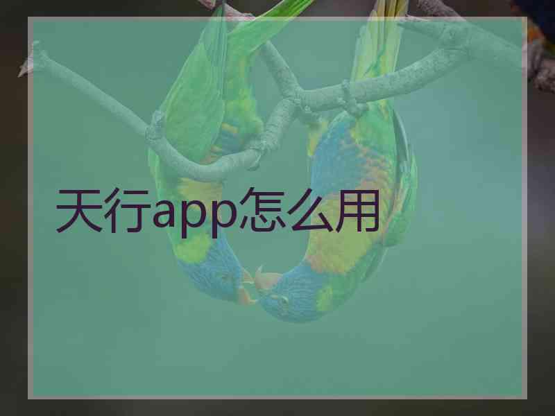 天行app怎么用