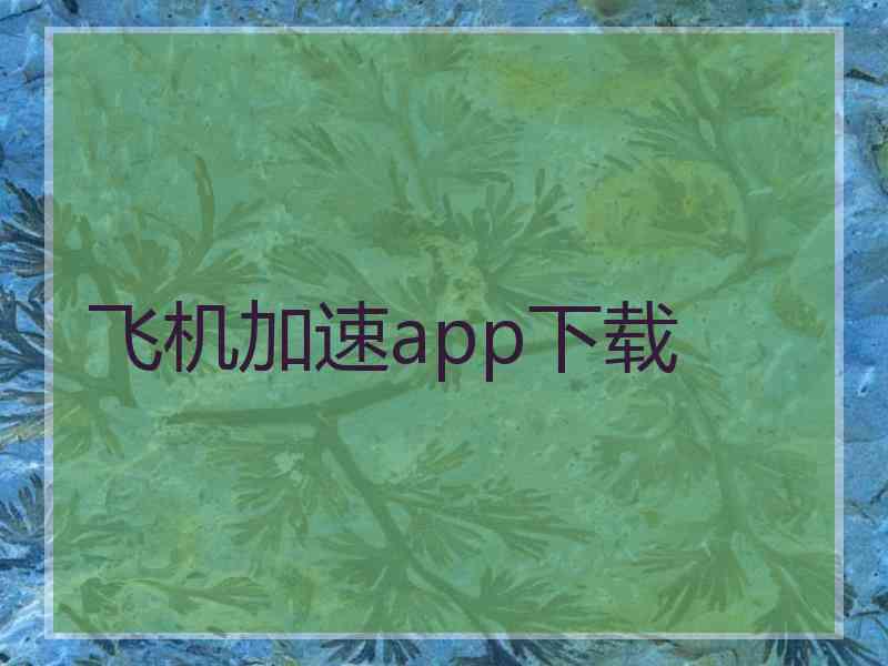 飞机加速app下载