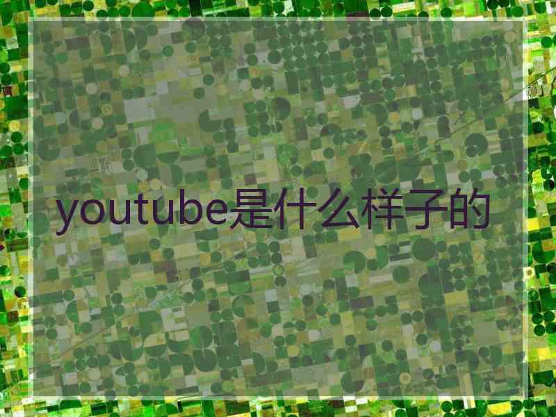 youtube是什么样子的