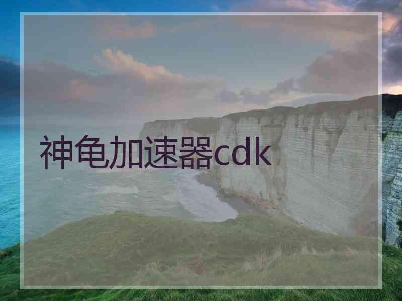 神龟加速器cdk