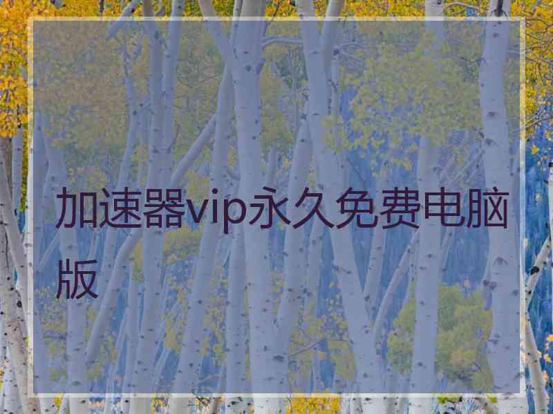 加速器vip永久免费电脑版