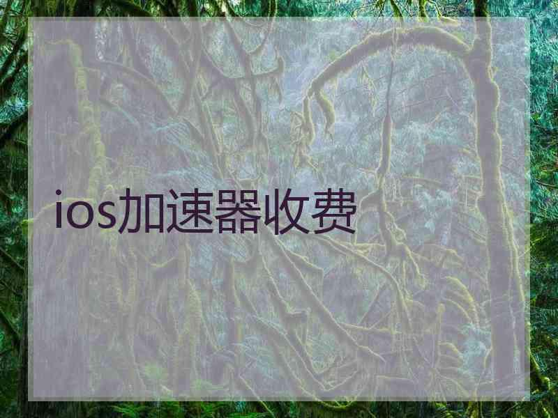 ios加速器收费