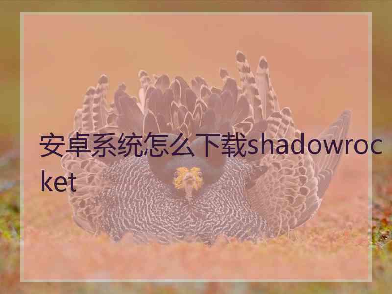 安卓系统怎么下载shadowrocket